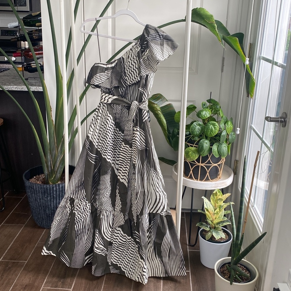 Express Olive and White One-Shoulder Maxi Dress - Picture 3 of 16